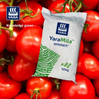 Storenain Mall Yara Pupuk Npk Winner 15-9-20 + Te Untuk Jagung Cabai Buah 50Kg Granul Seragam Diskon