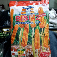 100%ORI BENIH JAGUNG HIBRIDA BISI 2 1 KG / JAGUNG HIBRIDA BISI 2 1KG CAP KAPAL TERBANG ( EXP OKTOBER