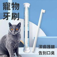 『台灣x現貨秒出』精巧圓潤刷頭寵物牙刷 寵物潔牙 清潔牙齒 貓咪牙刷 狗狗牙刷