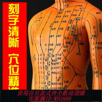 {臺灣公司貨 可打統編}政河針灸穴位人體模型經絡穴位模特圖全身中醫十二銅人扎針小皮人