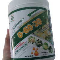 0-60-20 Phân bón vi lượng giúp thúc đẩy ra hoa nghịch mùa, phân hóa mầm hoa mạnh, ra hoa đều đồng lo