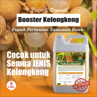 Pupuk Booster buah kelengkeng 5 liter, melebatkan bunga dan buah cocok untuk bibit  kelengkeng merah