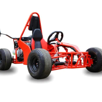 1500W 48V Electric Go Kart Carting Car Karting 2 Seat Cheap for Sale