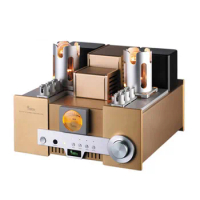 Yaqin MS-650B Integrated Vacuum Tube Amplifier SRPP Circuit 845*2 Single-ended Class A 2*15W 110V 220V