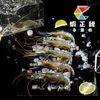 鮮嫩小母蝦-泰國蝦 (23-28隻/600g ± 5%/盒)