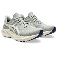 asics 亞瑟士 慢跑鞋 女鞋 運動鞋 緩震 支撐 ATC復古系列 GT-2000 13 ATC 灰 1012B810-020