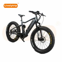 1000watt Big Power Mid Drive E Motorcycle Dual /Full Suspension Fat Tire Electric Mountain Bike