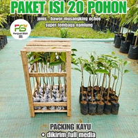 PAKET ISI 20 BIBIT DURIAN OKULASI 20 DURI HITAM