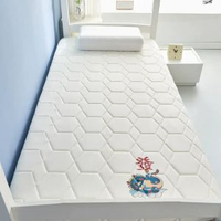 加厚床墊尺寸70x170家用床褥0.9米80x180x60x160x110x190x140大豆款-抗菌床墊-發財龍白（舒適款）60*160cm
