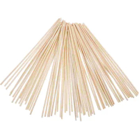 100 Pcs Diffuser Wand for Aroma Essential Oil Sticks Reed Fragrance Rods Wands Replace