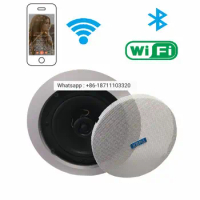 wireless Ceiling WIFI Speaker Home Theater System speaker with Amazon ALEXA