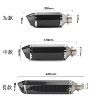 專業改裝 小六角尾段臺蠍管/仿鈦碳纖維/卡夢/鯉魚嘴/51mm/勁戰/酷龍/三代/四代/Bws//T2/T1/