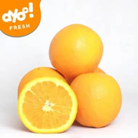 Jeruk Sunkist Navel Australia 800g - 900g