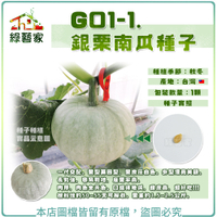 【綠藝家】G01-1.銀栗南瓜種子1顆