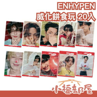 【20入】預購✨日本 BANDAI ENHYPEN 威化餅食玩 小卡 UNTOLD 正規二造型 梁禎元 李羲成 朴成訓 恩嗨盆【小福部屋】