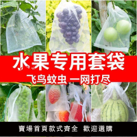 【台灣公司 超低價】水果套袋防鳥防蟲網袋專用葡萄無花果枇杷芒果番茄袋草莓保護袋子