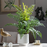 人造花 仿真植物 仿真樹 仿真綠植 仿真擺飾 仿真植物蕨類小盆栽假綠植桌面小擺件室內客廳網紅ins風裝飾137S 快速出貨