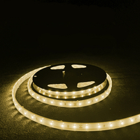 [現貨]LED燈條5米 白光黃光 10mm加寬設計 戶外防水 軟性燈條 可裁剪 加厚背膠 LED 2835 60顆/M CE認証