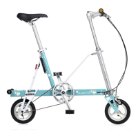【CarryMe】花博塗裝版 SD 8吋充氣胎版單速鋁合金折疊腳踏車-蘭花綠(情人節禮物 生日禮物 通勤腳踏車)