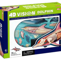 4D MASTER educational toys assembled dolphin anatomy animal anatomical model