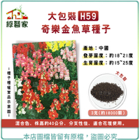 【綠藝家】大包裝H59.奇樂金魚草種子3克(約18000顆)混合色.株高約40公分
