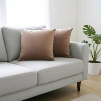 Bantal Sofa Beludru Kotak Polos/Bantal Sofa milo