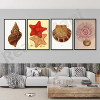 Vintage nautical illustration, pink anemone, seashell, pectin shell, starfish, lake house poster, coastal nautical, ocean image