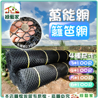 【綠藝家】萬能網(籬笆網)--4尺*100尺