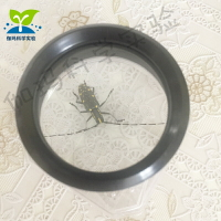 昆蟲觀察盒子大號兒童戶外多功能動物科學實驗玻璃放大鏡帶透氣孔
