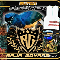 SUPER FIGHTER/SUPLEMEN BURUNG MURAI/RAJA GOYANG/RG/MURAI BATU/MURAI BORDAN/MURAI BURNEO/MURAI/LAMPUN
