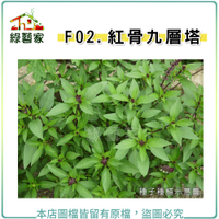 【綠藝家】F02.九層塔 (紅骨羅勒)種子500顆