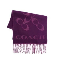 Coach 蔻馳 圍巾 CO100317-604 女士 男士 Oxbrado 紫色圍巾 1pc