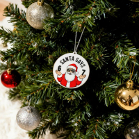 Santa Says Six Seven Christmas Ornament Fun Christmas Decorations For 2026 3 Styles Available W7N1