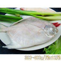 新鮮市集 鮮嫩富貴白鯧魚12尾(300-400g/尾)