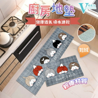 防滑耐髒地墊 (二款可選 60x40 及 120x40公分) 門前踏墊【VENCEDOR】台灣現貨 499免運