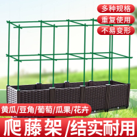 免運/可開票 快速出貨 爬藤架花架黃瓜豆角爬藤桿種菜支架花卉植物支撐桿葡萄架西紅柿架