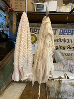 Babat Putih Sapi Handuk Fresh Frozen