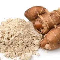 Kencur/cikur bubuk 100gram