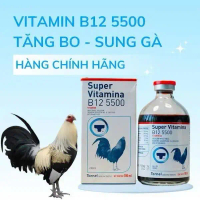 B12-5500 Chính Hãng – Tăng Lực, Bồi Bổ Sức Khỏe Cho Gà Đá - Chai 10ml