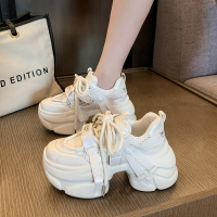網面內增高老爹鞋女2025年春季新款厚底休閑運動鞋子小白女鞋