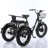 Fat Tire Electric Bicycle 20 Inch 3 Wheel Electric Cargo Bike For Adults Women Men Powerful 48V 500W Lithium Battery Removable