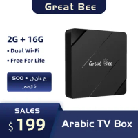 Great Bee New Arabic TV Box, GBM4 Android 10 Arab Smart Set Top Boxes 4K H313 2G 16G TV Box