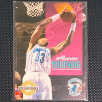 Alonzo Mourning Rc Skybox