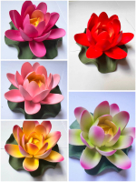 Hoa Sen Thả Bát Tụ Bảo - Màu Ngẫu Nhiên - Cao 4cm x ĐK 8cm