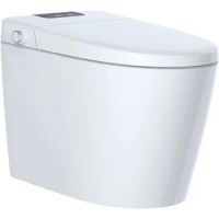 LEIVI Smart Toilet with Built-in Bidet Seat, Tankless Toilet with Auto Lid Opening, Closing and Flushing, Heated Seat, Digital D