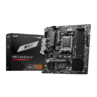 MSI M/B PRO B650M-P
