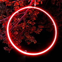SXH  Outdoor Waterproof Circle Hanging Tree Light Glowing Circle Wishing Ring Light Holiday Lighting