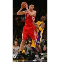 JSY Yao Ming Original