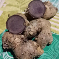 KUNYIT HITAM herbal per ons