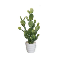 【Meric Garden】北歐風格居家裝飾高仿真大型景觀植栽擺設盆栽(扇型仙人掌)
